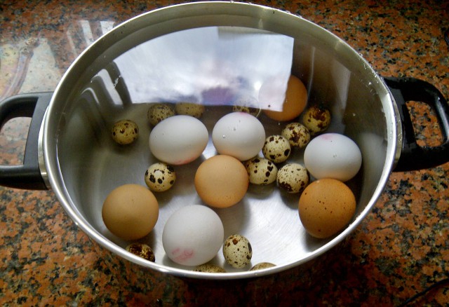 Яичный подкат