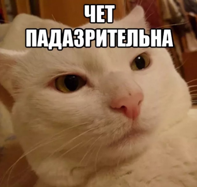 Непотопляемый Мутко