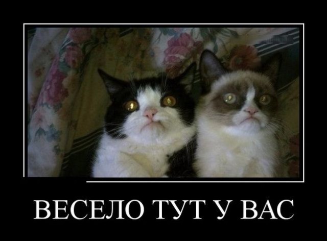 Четверг, это маленькая пятница! Картинки с подписями.