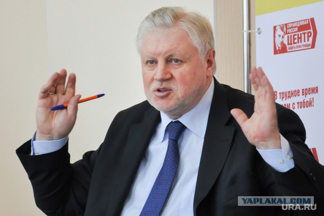 Эсеры хотят приравнять зарплаты депутатов Госдумы к средней по стране