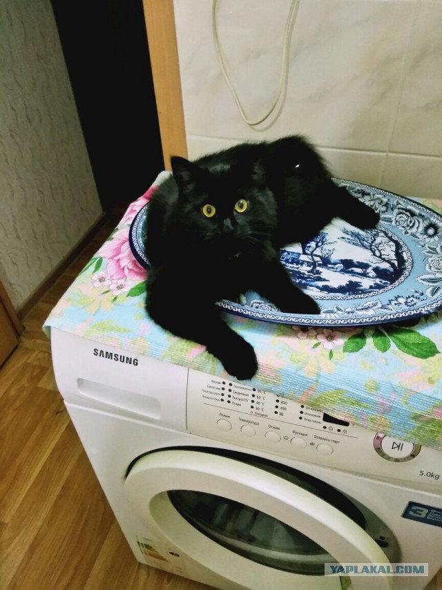 Зачем женщины ездят в Турцию?