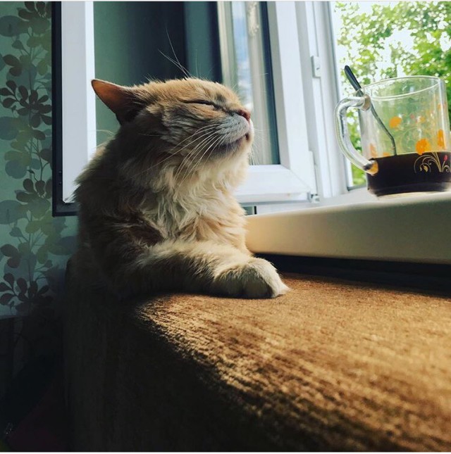 Немного милоты