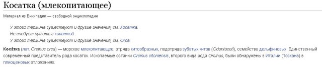 Косатки гоняются за катером
