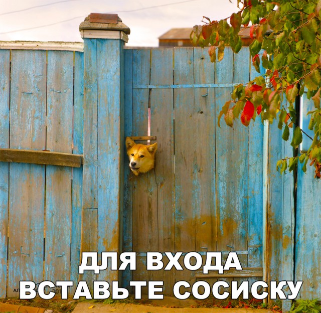 Нестандартный юмор