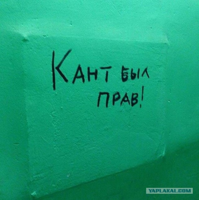 «Бродячие» философы: 17 глубокомысленных заметок в транспорте и на улицах