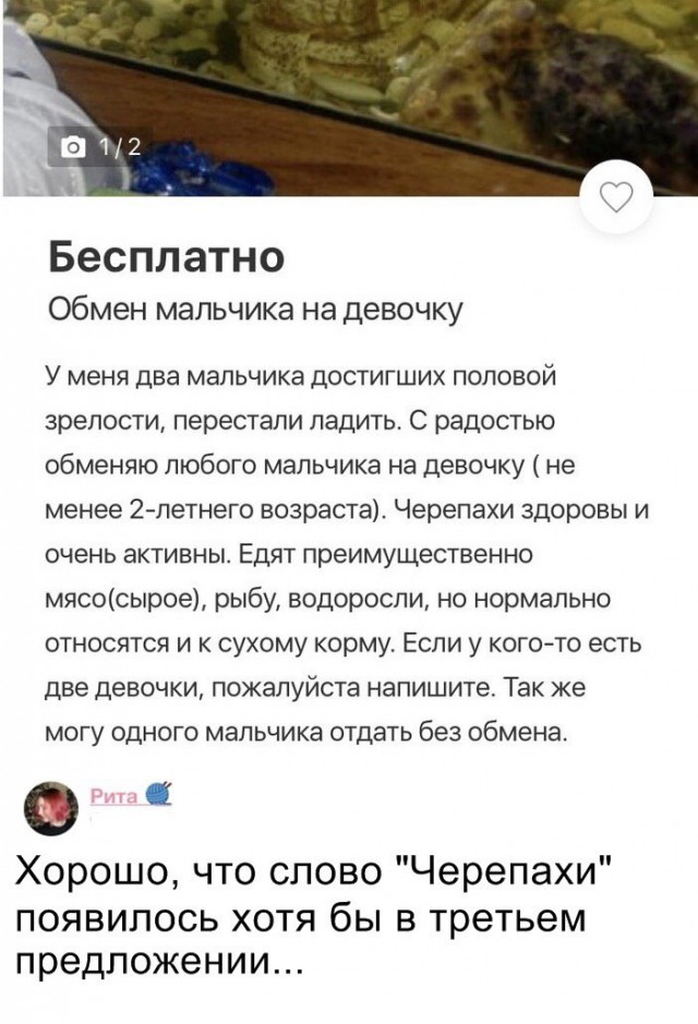 Немного картинок для настроения