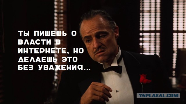 Жителя Вологодской области заподозрили в неуважении к власти за посты «Путин — реальный *******»