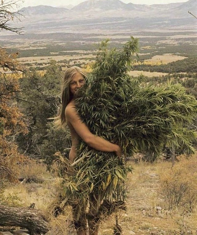 Мерзкие картинки
