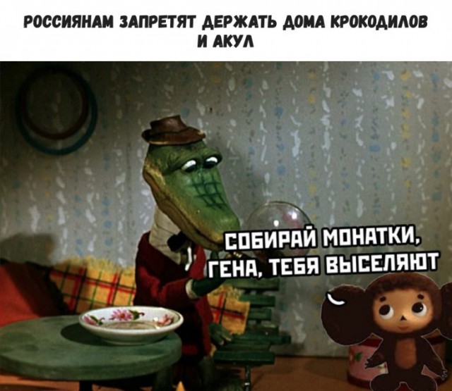 Немного картинок для настроения