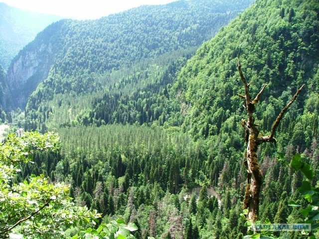 Абхазия (49 фото)