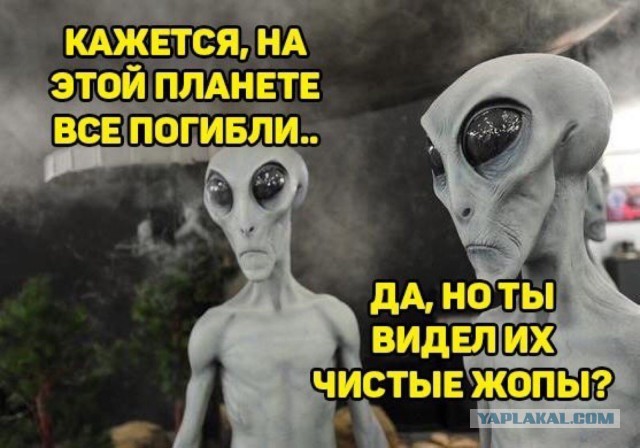 Бредзона 19.03.2020