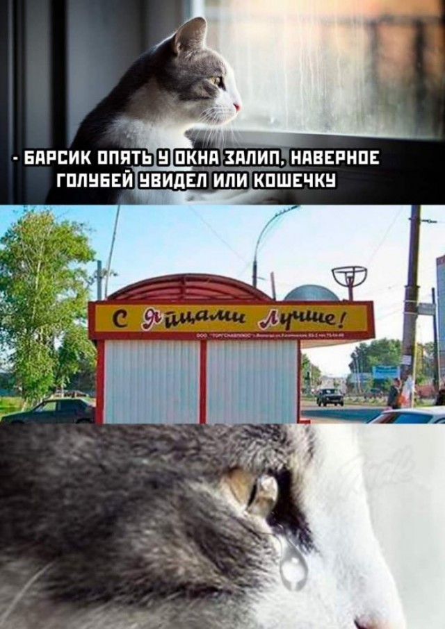 Немного картинок для настроения 06.05.20