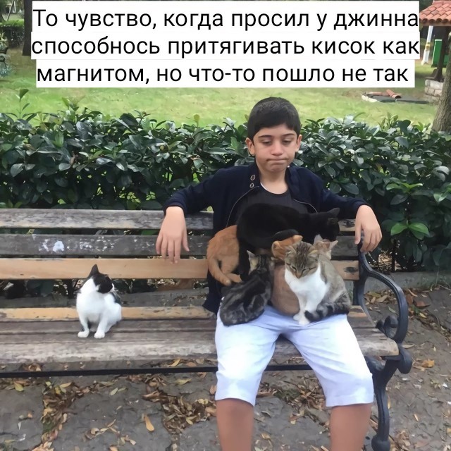 Картинки и мемы для настроения 021