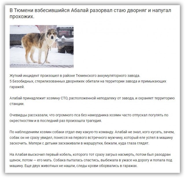 В Подмосковье алабаи насмерть загрызли ребенка.
