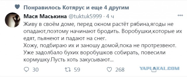 Бредзона 10.01.21