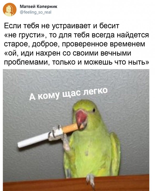 Так себе картинки 05.04.21