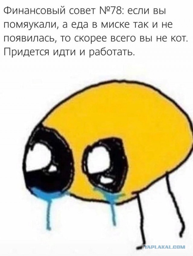 Весёлый полтишок 14.07