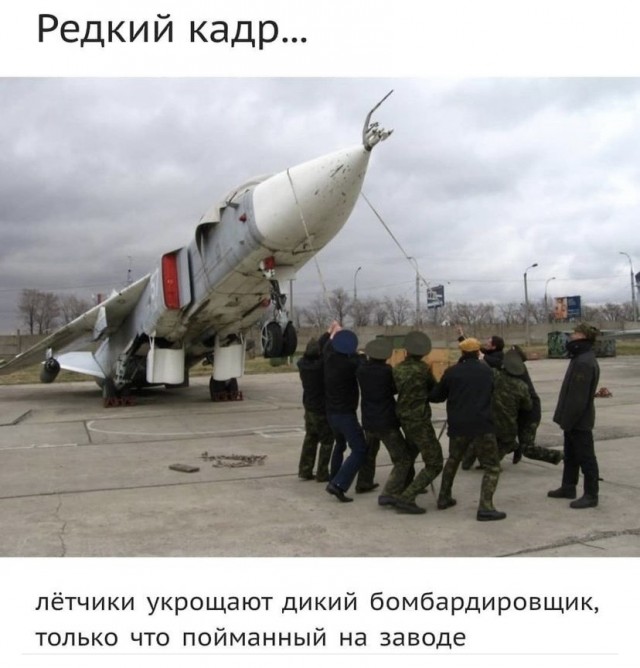 Юмор и прикольные картинки 11.10.2021