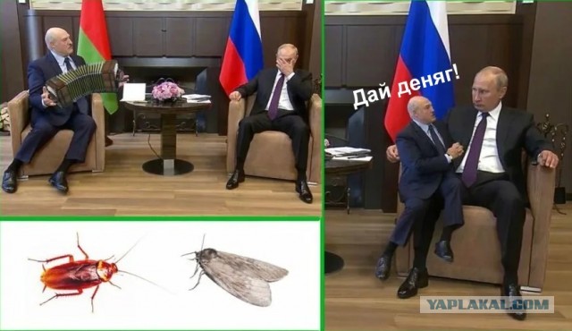 «На случай военных действий»: Лукашенко дал распоряжения относительно границы с Украиной