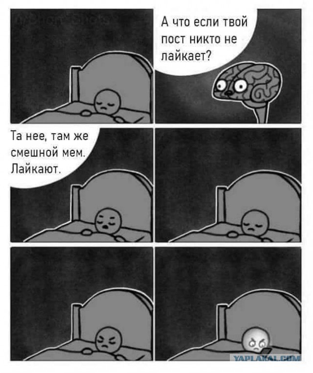 Чуток картинок 31.01.22
