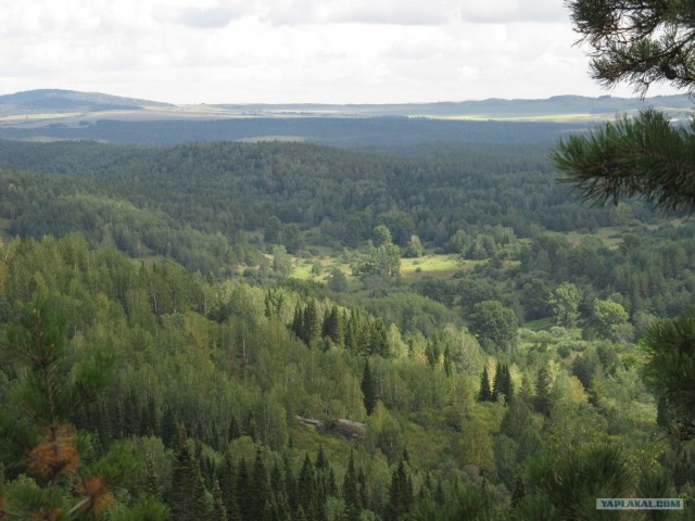 Озеро Моховое, Алтайский край
