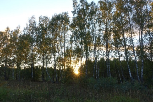 Рассветы. Закаты. Фото