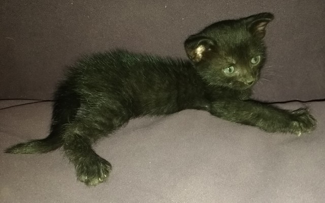 Да, сегодня не вторник...