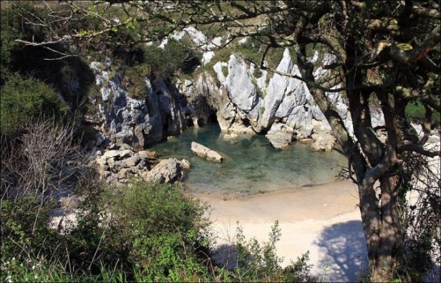 Морской пляж посреди пустыря с кустарником