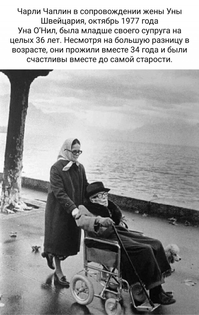 35 фото, которые позволяют взглянуть на знакомые вещи «под другим углом»