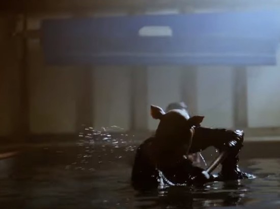 Вышел трейлер фильма "Винни-Пух: Кровь и мед"