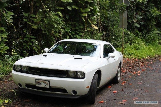 Путешествие на Гавайи