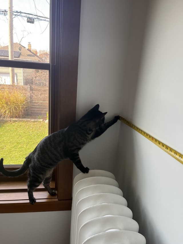 Ну что, отпускать?!