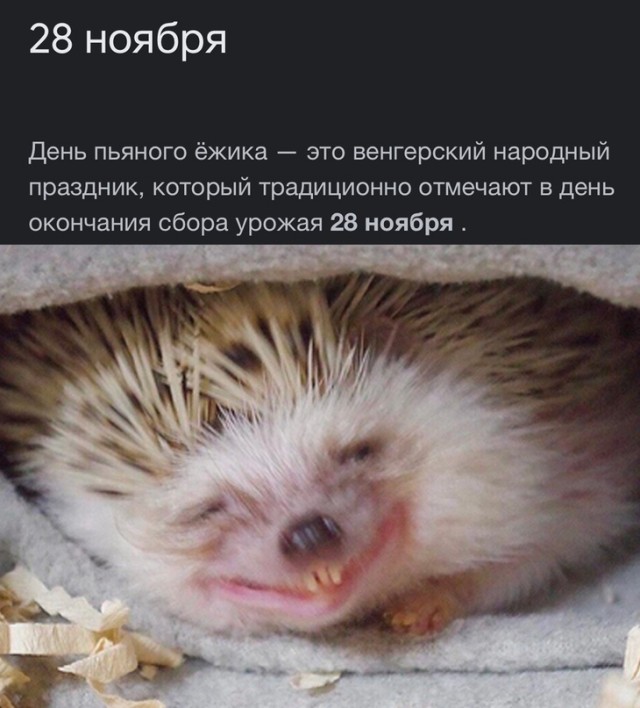 Картинки и мемы для настроения - 133