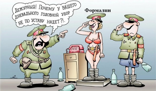 Новый 2023 год от tubdoc62