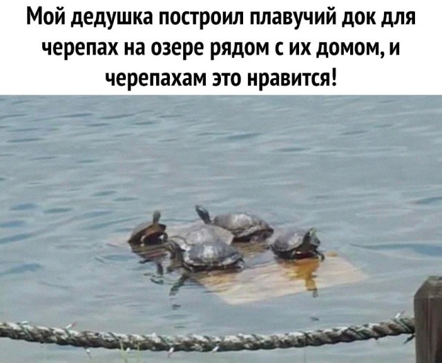 Картинки и мемы, выходные продолжаются