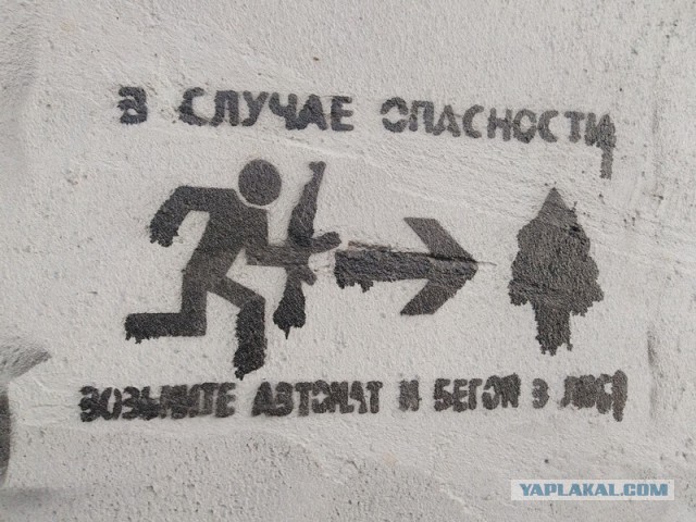 На заборе