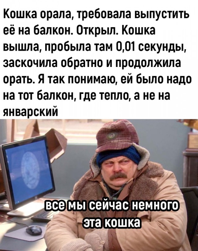 Так себе картинки 10.01.23