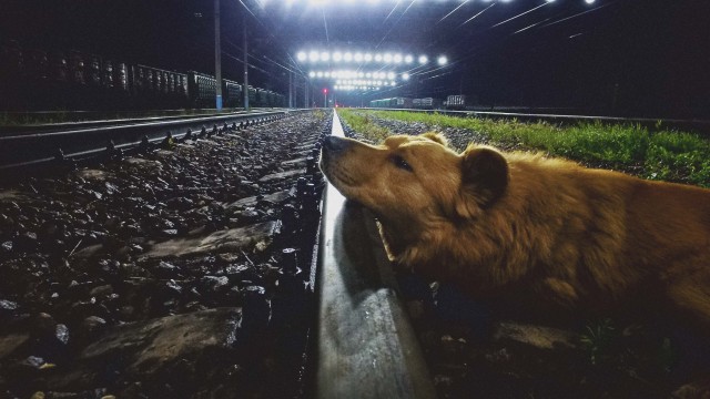 Городские слайды