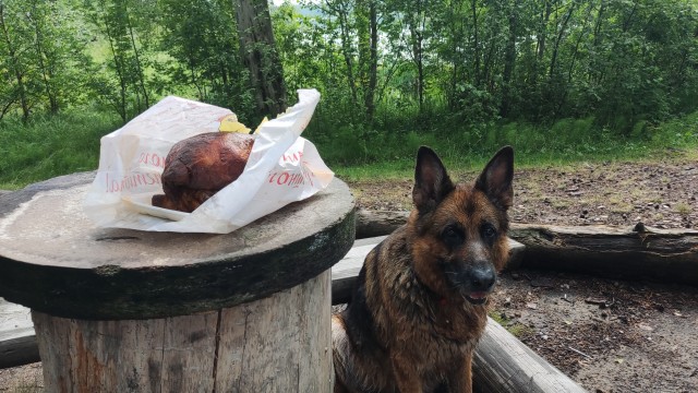 Они только часть нашей жизни, а мы для них - вся жизнь!
