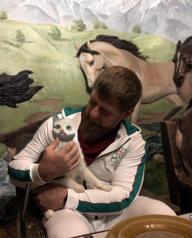 Это же кошачий Батька
