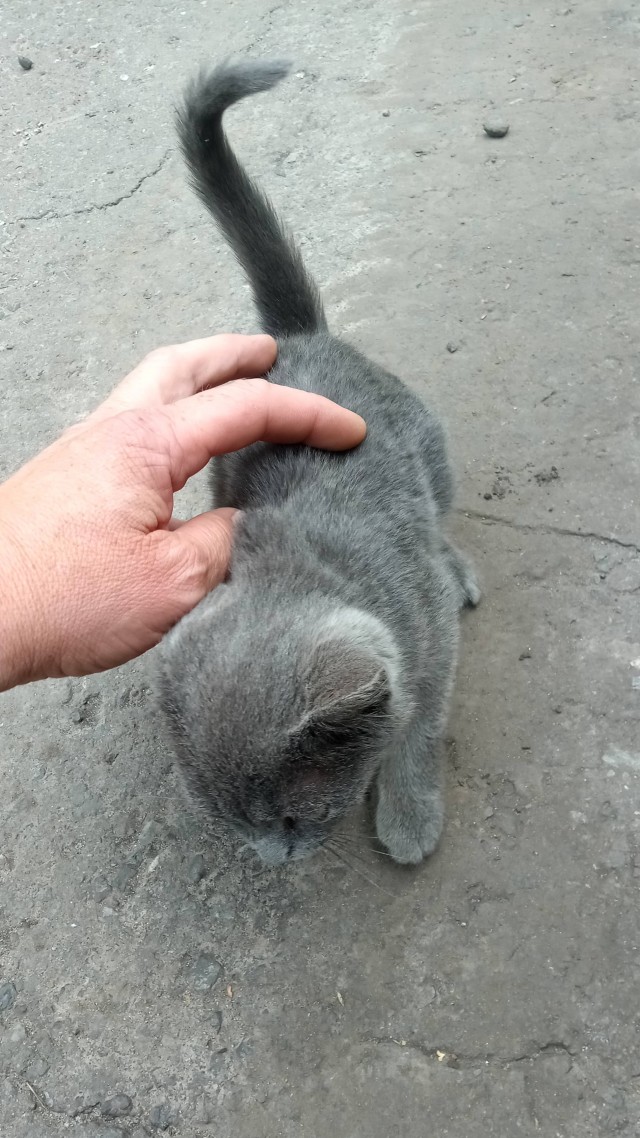 Кожаный, я тебя выбрал!