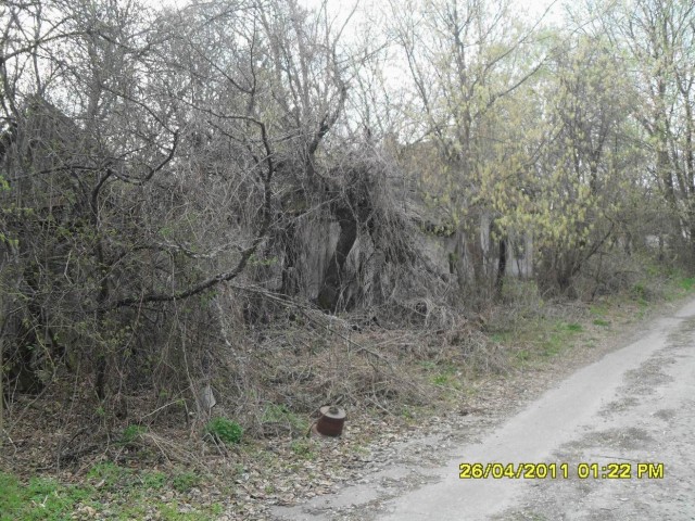 Чернобыль 2011