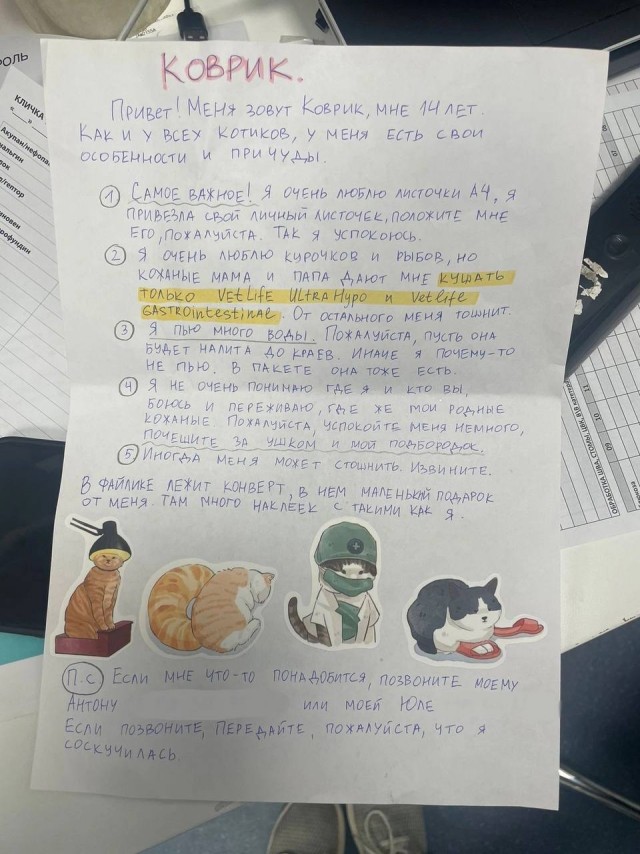 Милота дня, не иначе