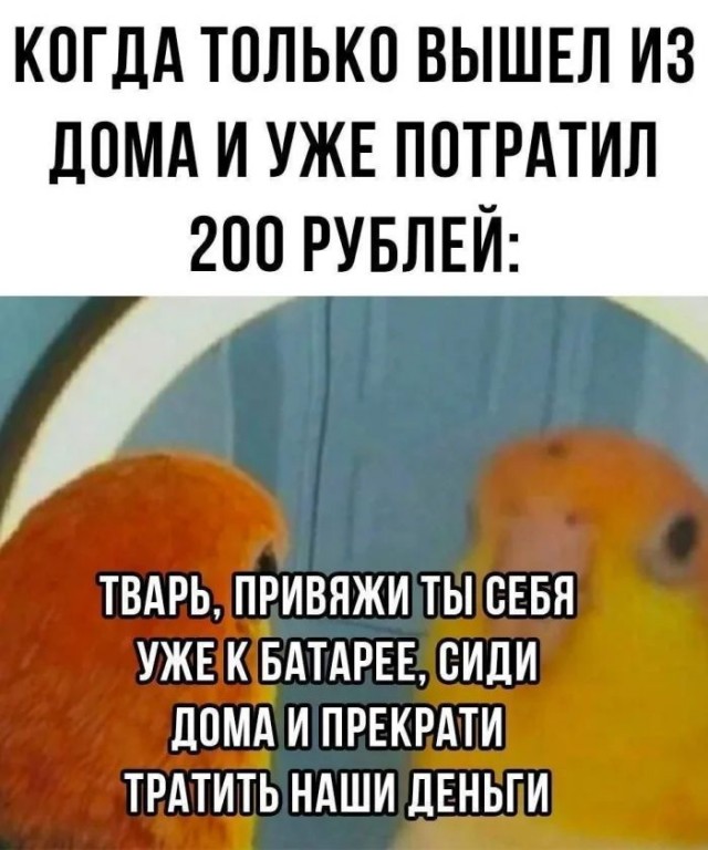 Приколы с налетом деградации