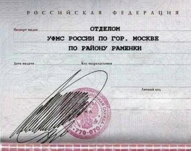 ЦИК посчитал странной подпись котиком участника инициативной группы Екатерины Дунцовой