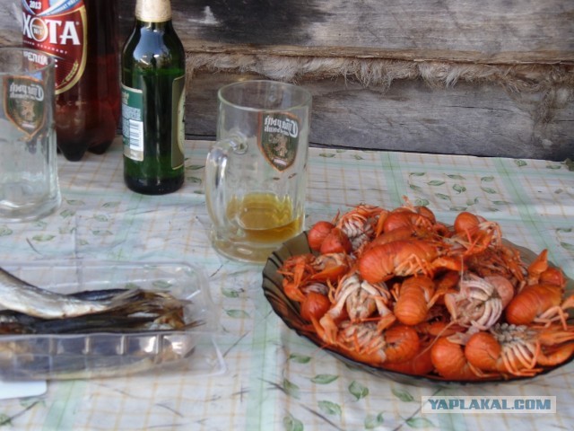 Дача, грибы, мясо, овощи.