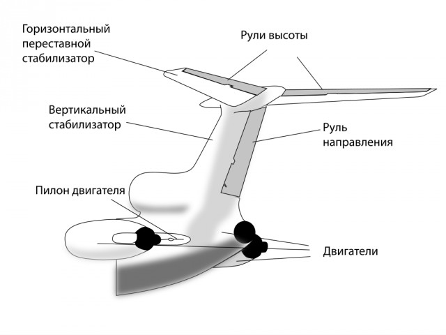"Я не знаю, что случилось с самолетом, он вышел из-под контроля!"