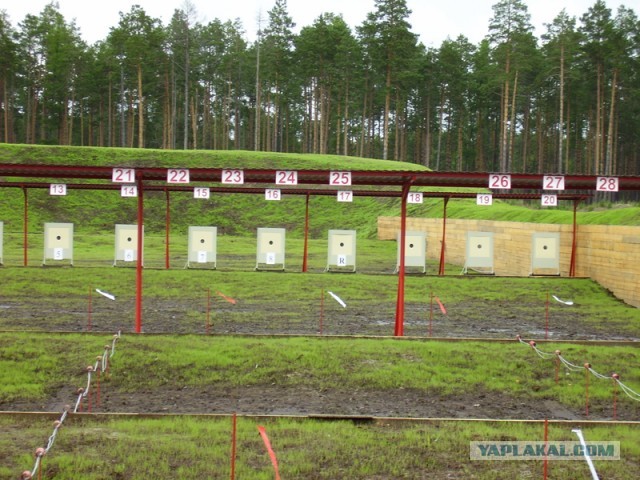 Пенсионерку с простреленной головой нашли в лесу близ деревни Глуховка Чеховского городского округа.