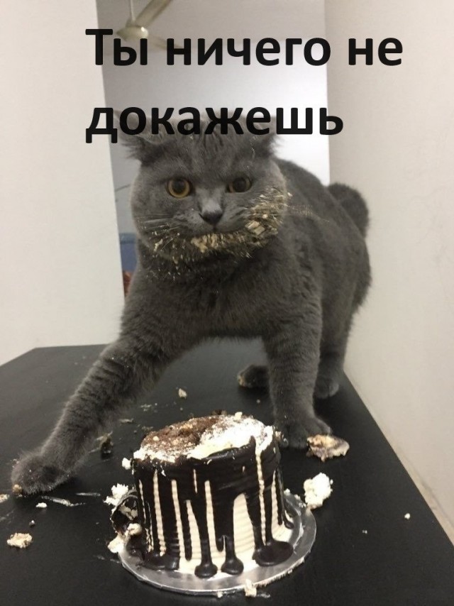Тлидцать тли от 22 февлаля