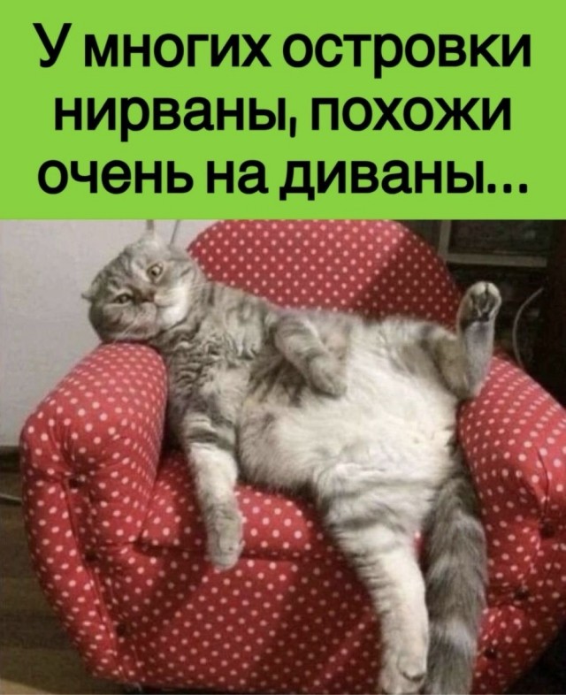 Прикольные и просто красивые картинки 04.10.2024